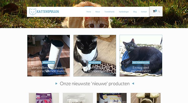 Kattenspullen